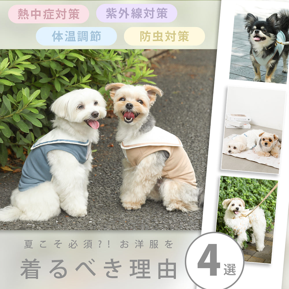 夏こそ必須⁈お洋服を着せるべき4つの理由