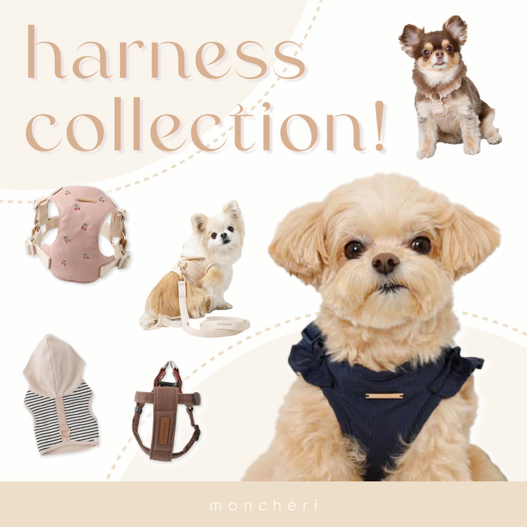 harness collection