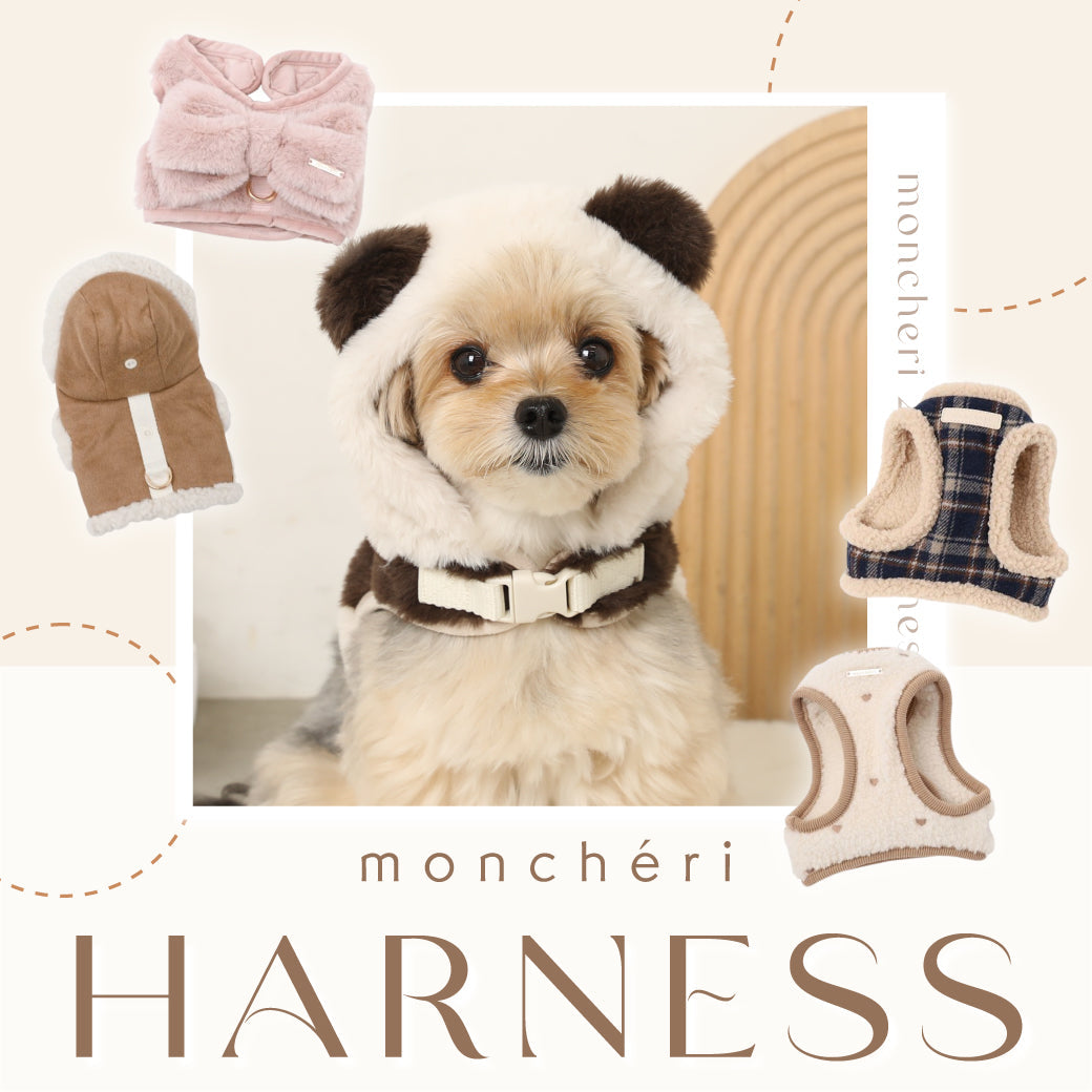 2026 HARNESS COLLECTION