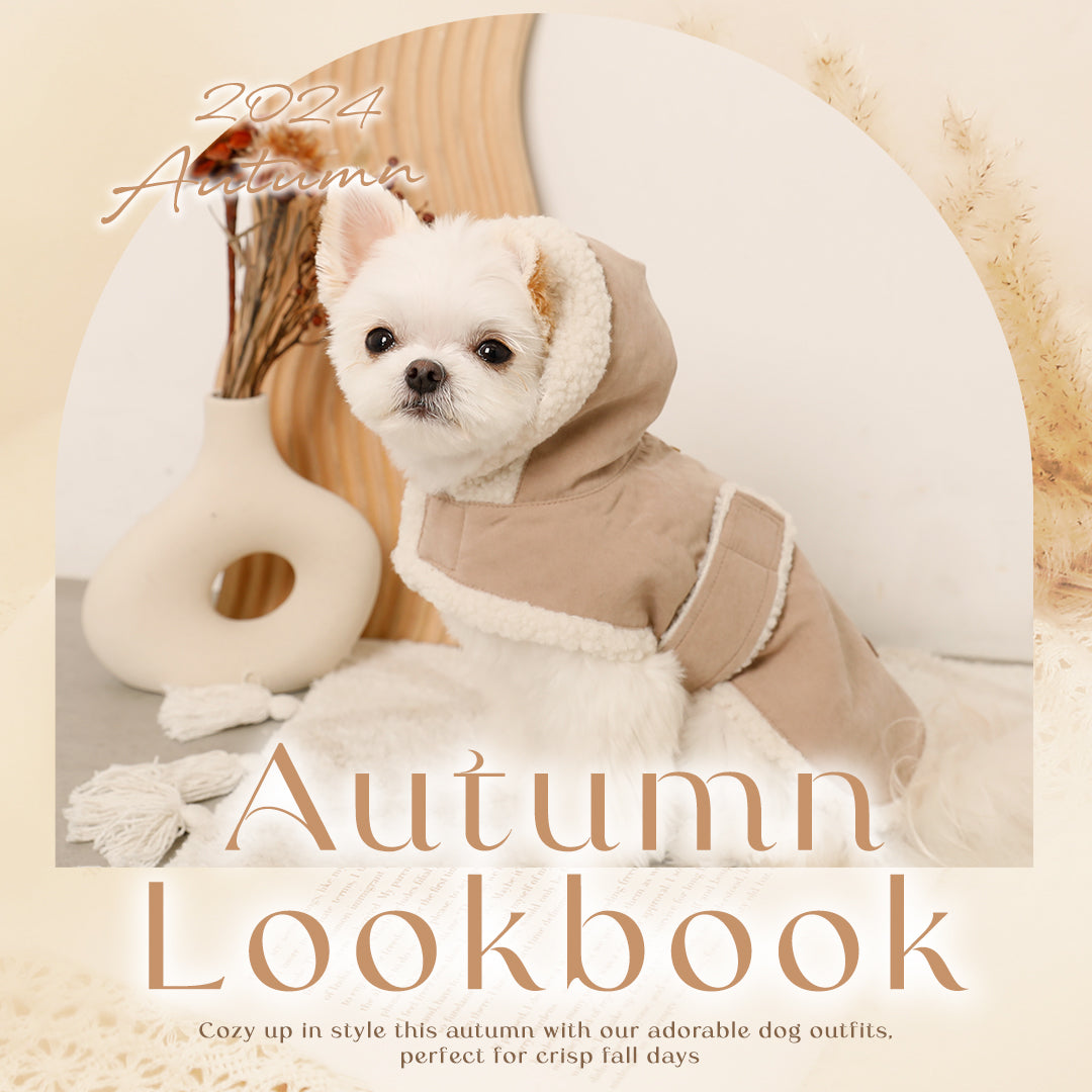 Autumn Lookbook