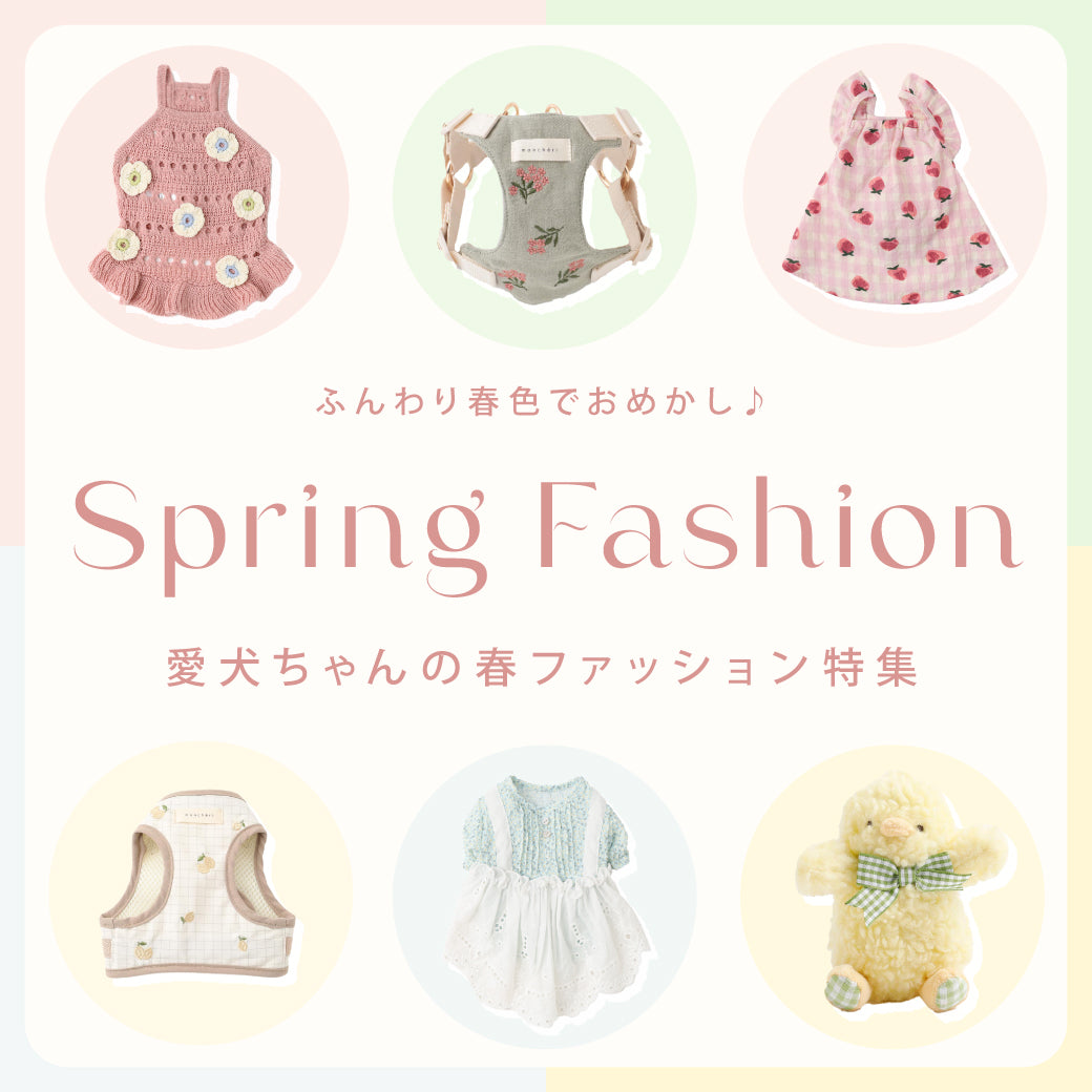 Spring Fashion 春色のアイテムで楽しむお出かけ
