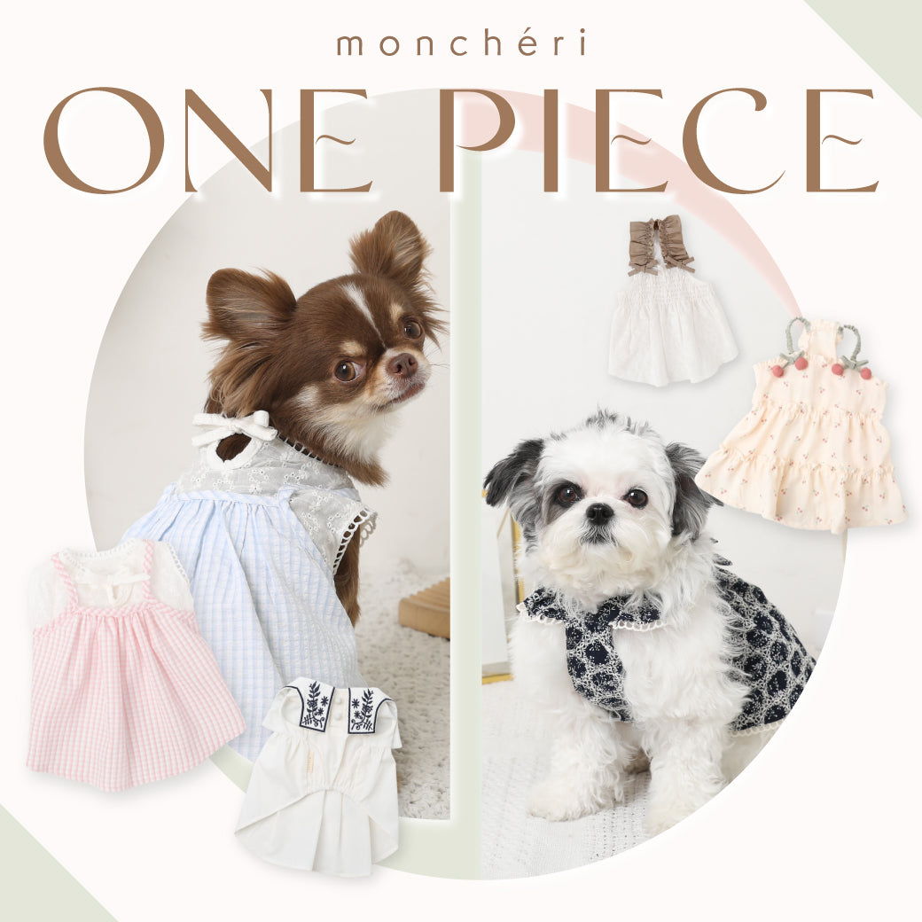2026 ONE PIECE COLLECTION