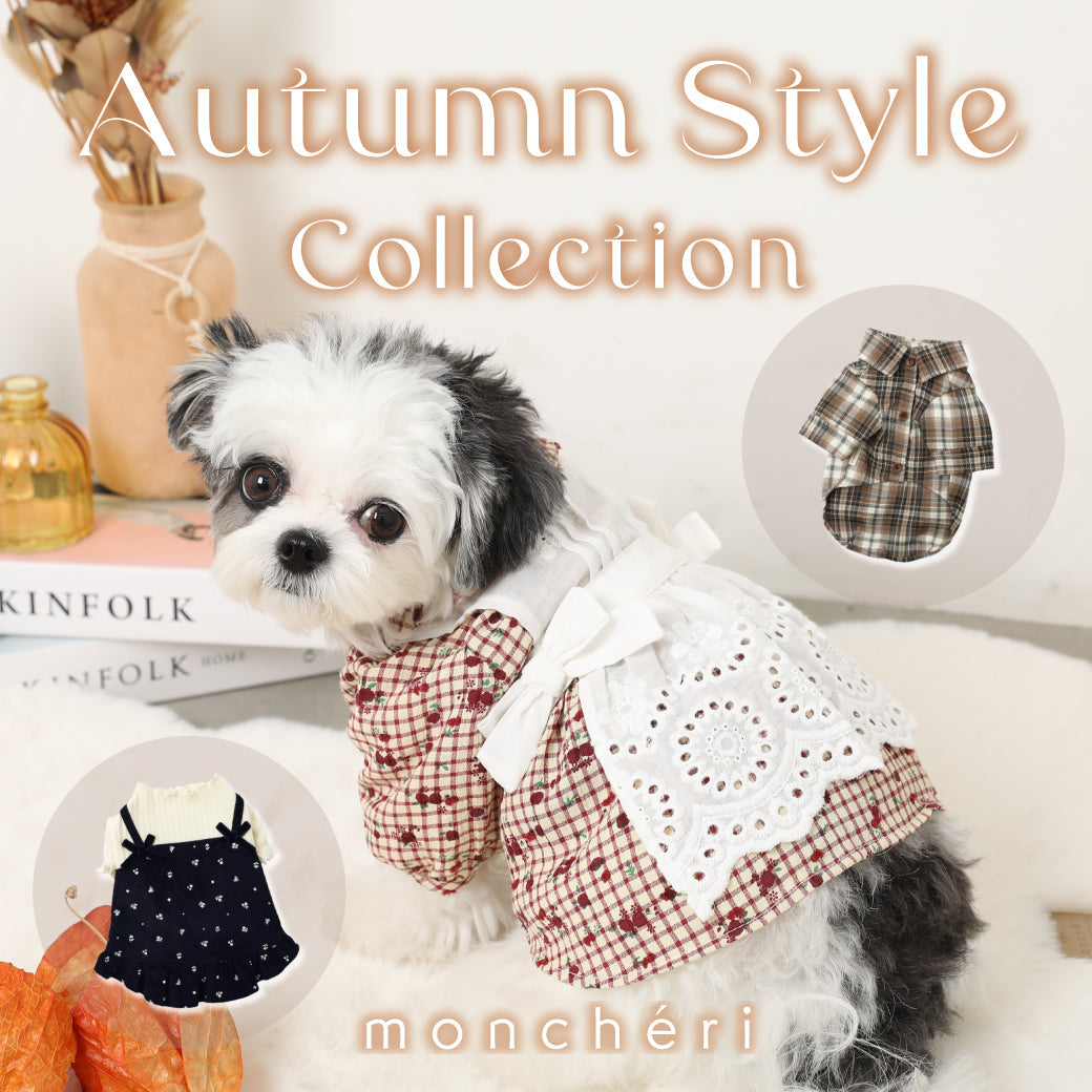 \秋のおしゃれをもっと楽しもう/ 愛犬ちゃんと楽しむ秋のお洋服特集♪
