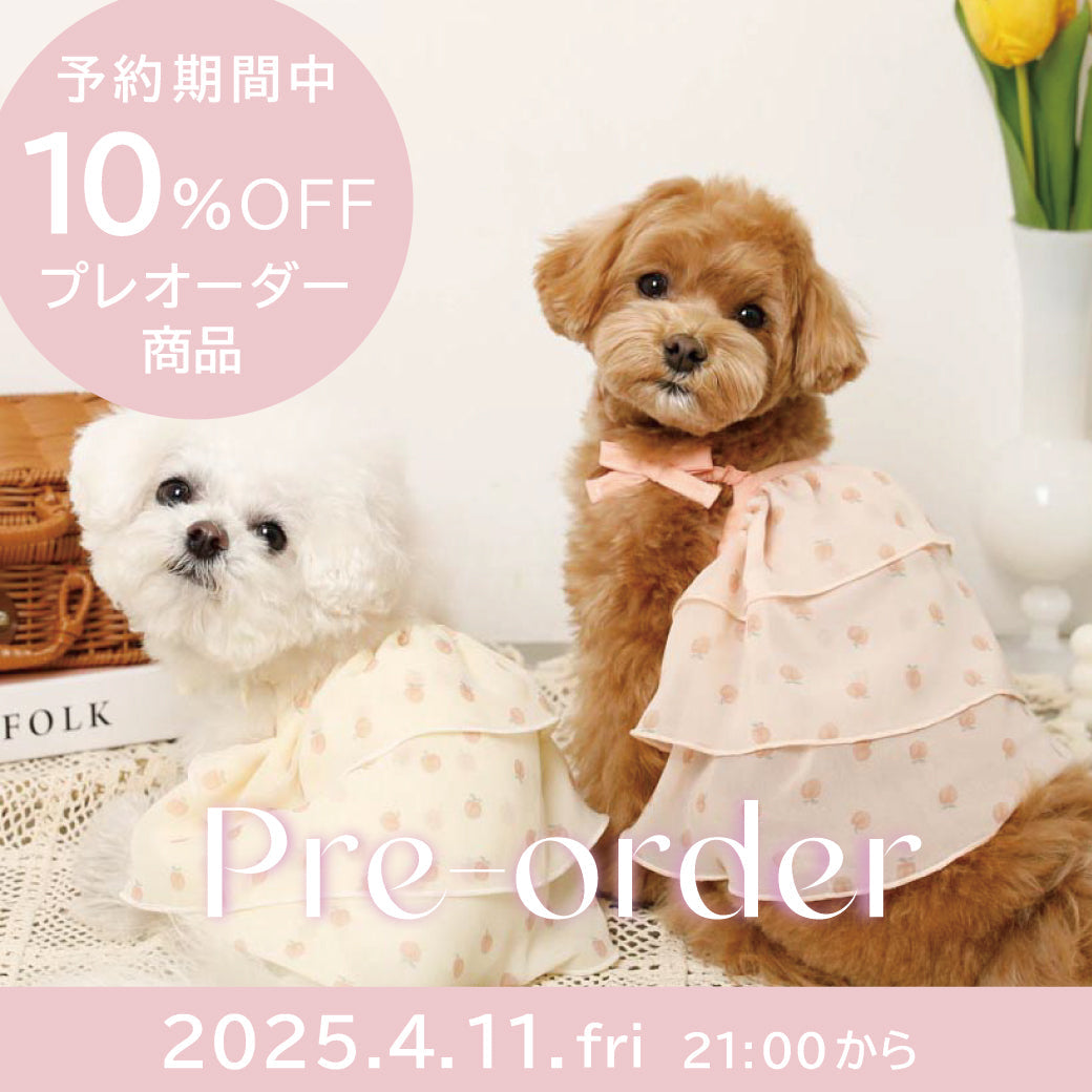 予約商品期間限定10%OFF!!