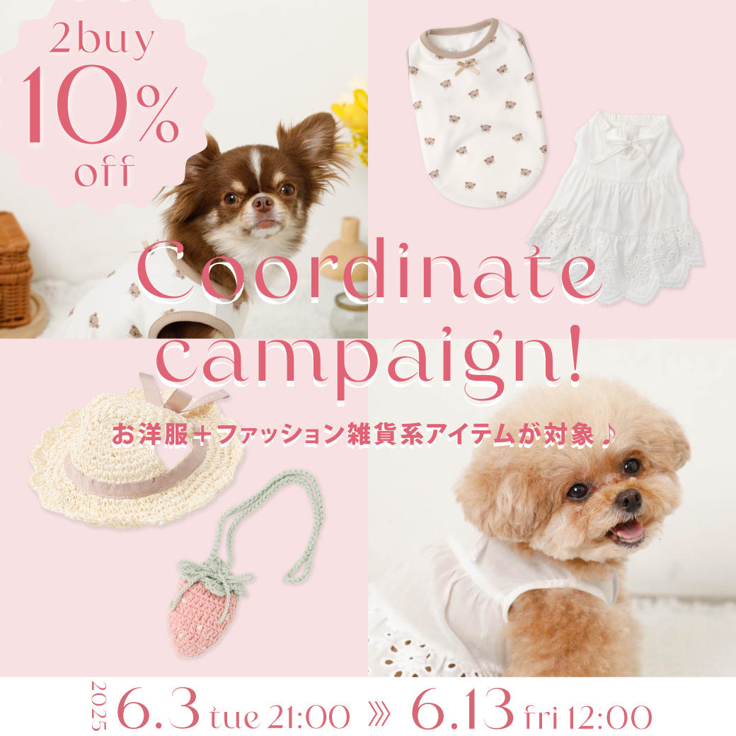 Coordinate Campaign