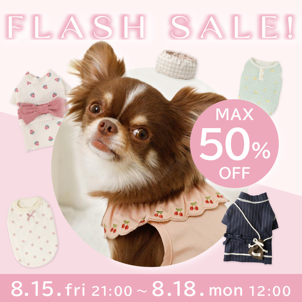 4日間限定!フラッシュセール