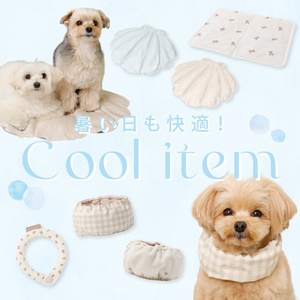 春夏必須のひんやりアイテム