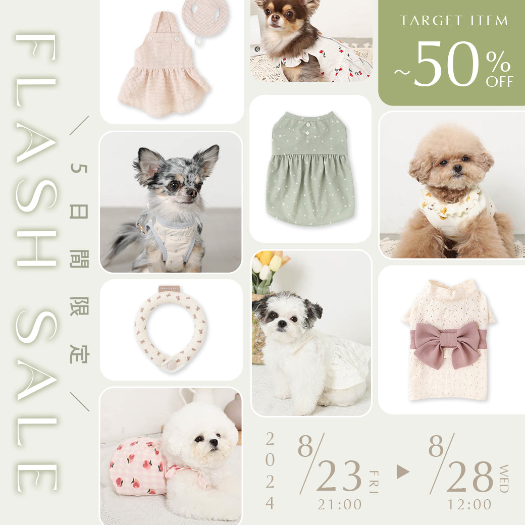 Flash sale