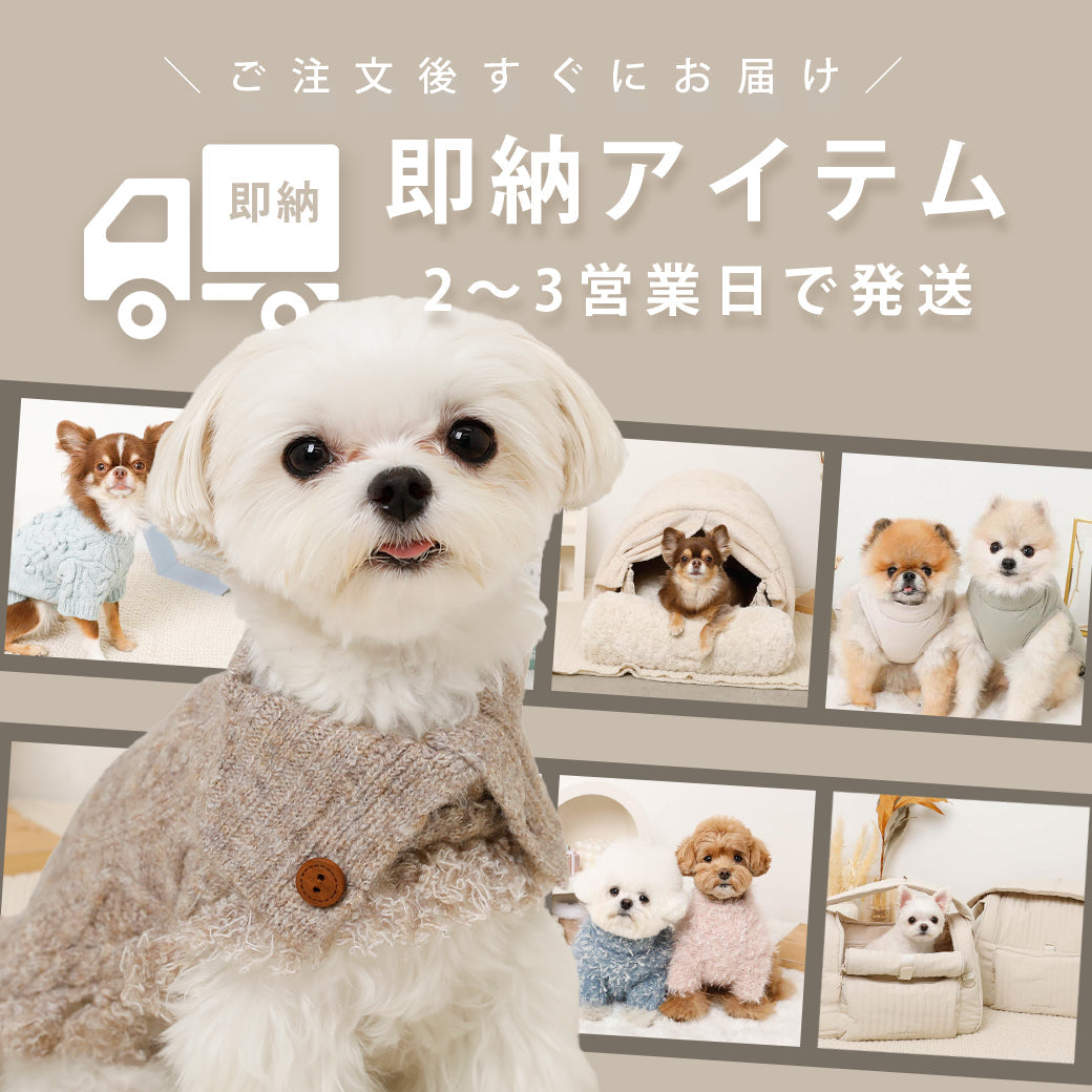 すぐお届け！即納商品