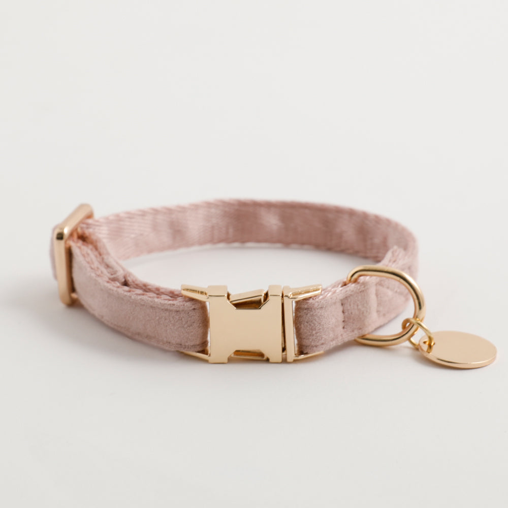 エコスエードカラー+リードSET【名入れ彫刻対応】