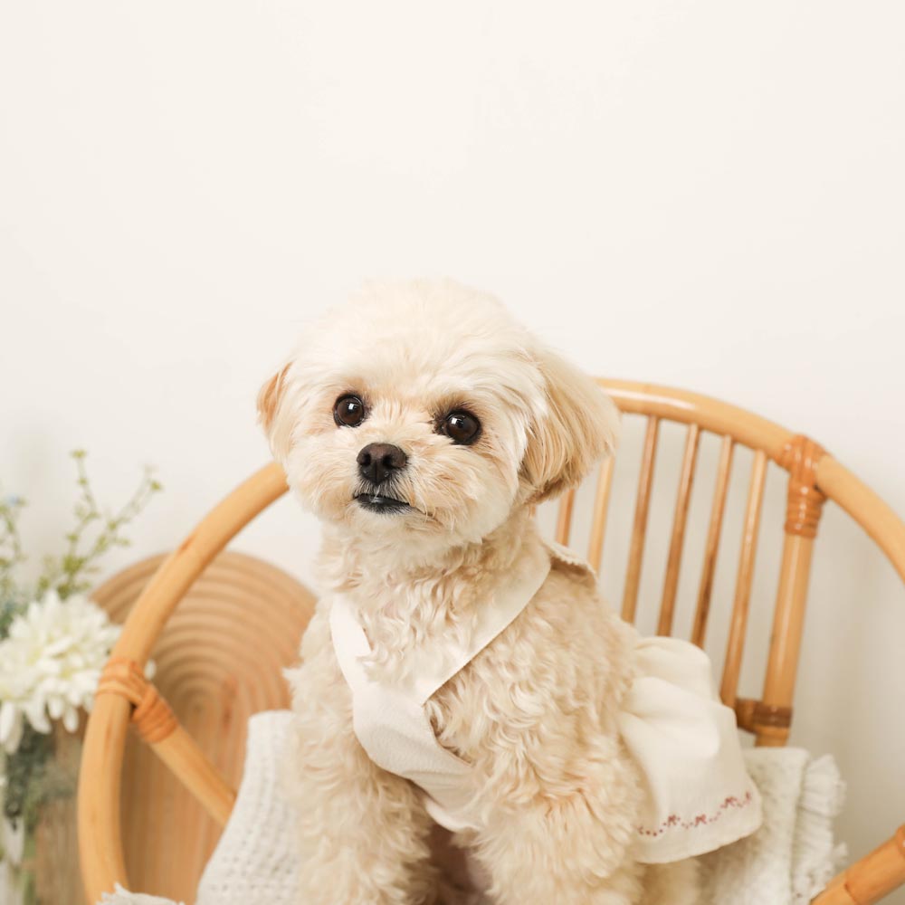 冷感リボン刺繍ワンピース