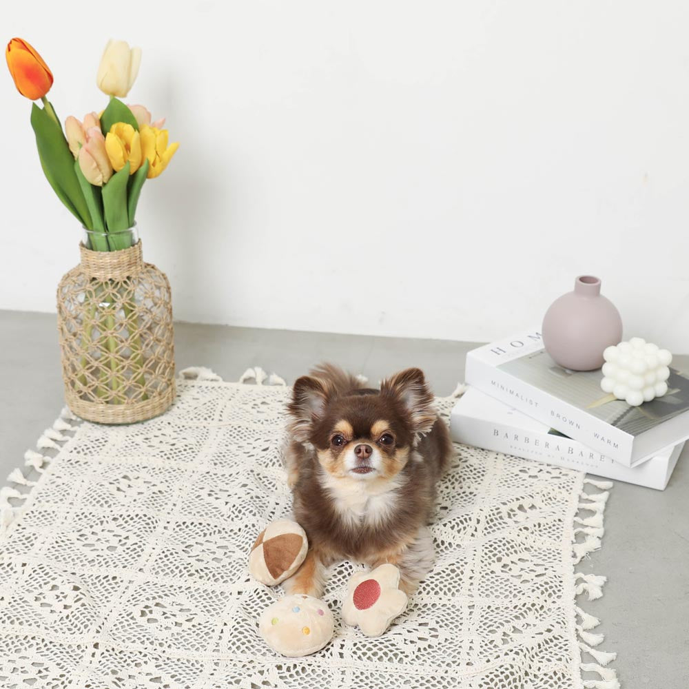 饼干包装鼻子工作玩具