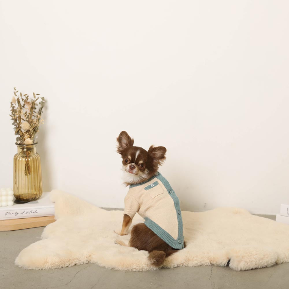 bicolor crew neck cardigan