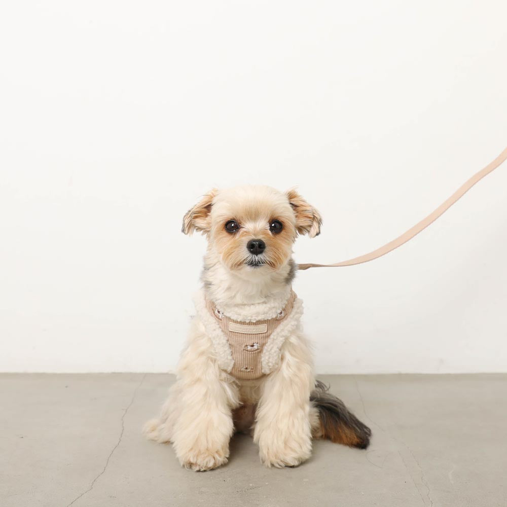 木馬刺繍入りコーデュロイボアハーネス+リードSET【名入れ刺繍対応】