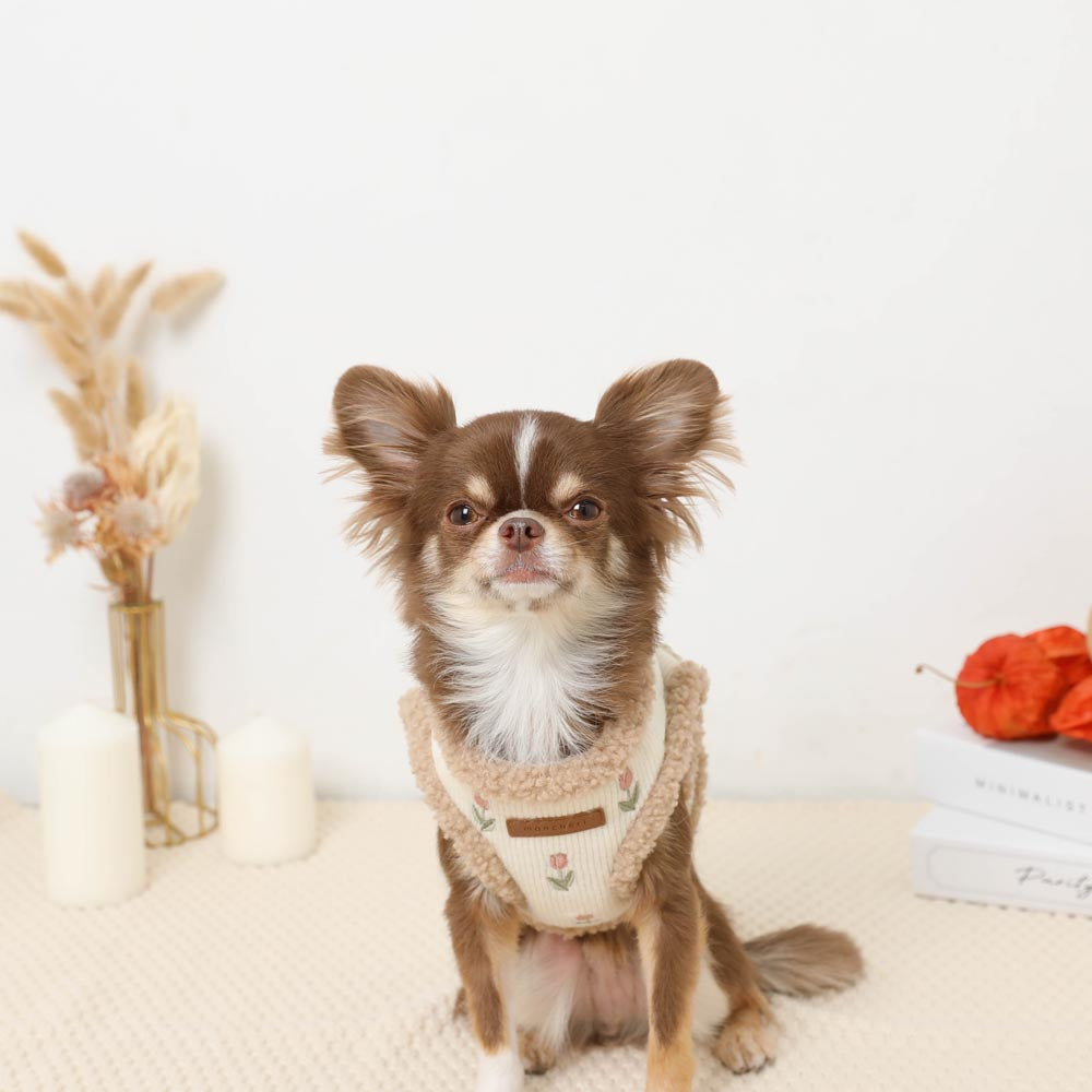 ボアチューリップ刺繍ハーネス+リードSET【名入れ刺繍対応】