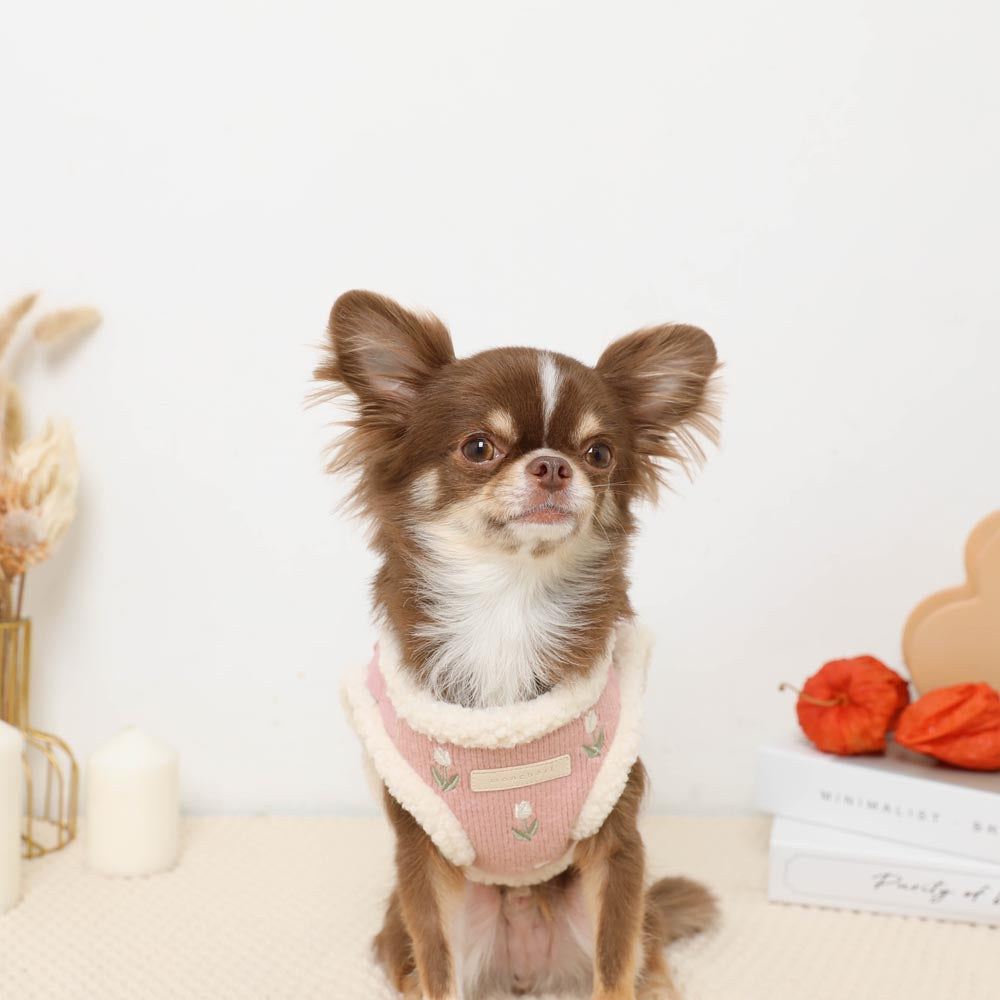 ボアチューリップ刺繍ハーネス+リードSET【名入れ刺繍対応】