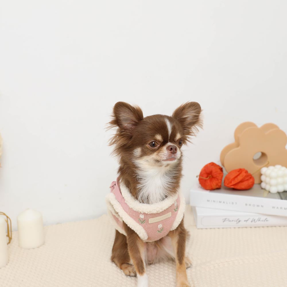 ボアチューリップ刺繍ハーネス+リードSET【名入れ刺繍対応】