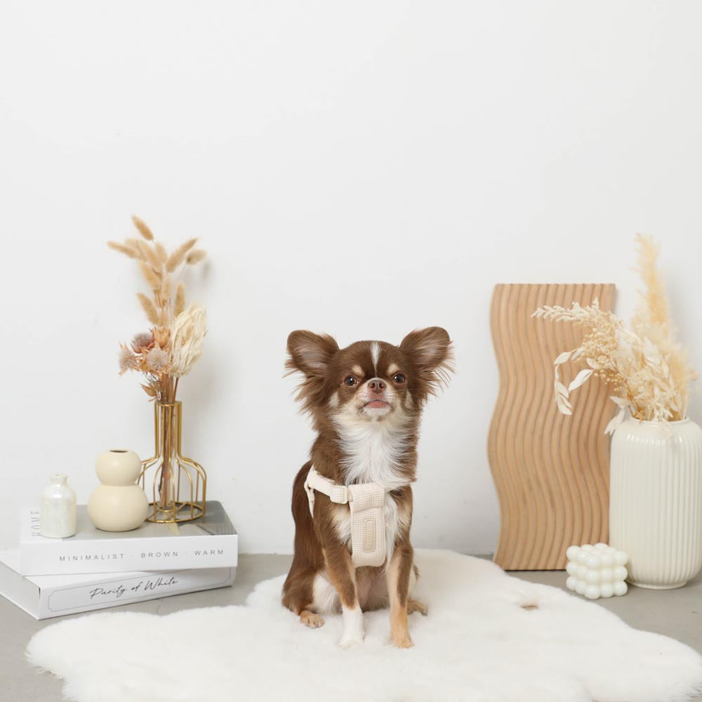 PUレザー×ワッフルハーネス