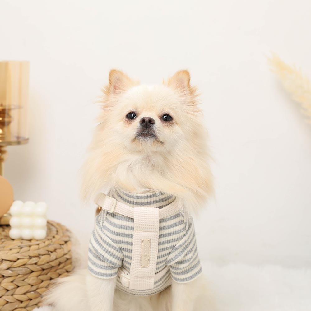 PUレザー×ワッフルハーネス