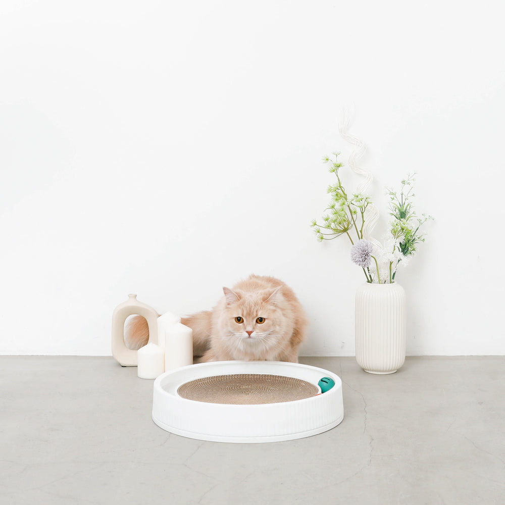 带圆滚滚球的圆指甲磨