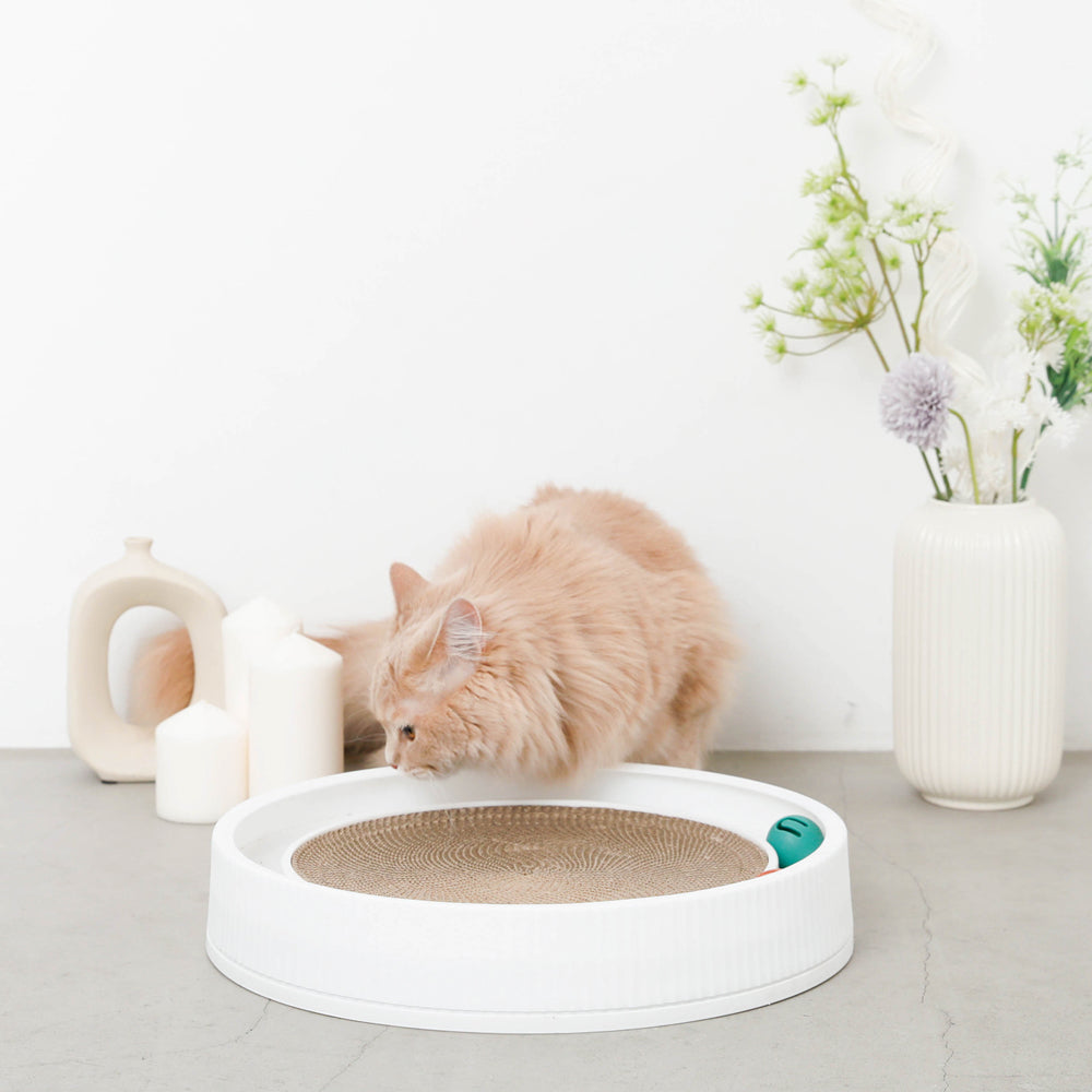 带圆滚滚球的圆指甲磨