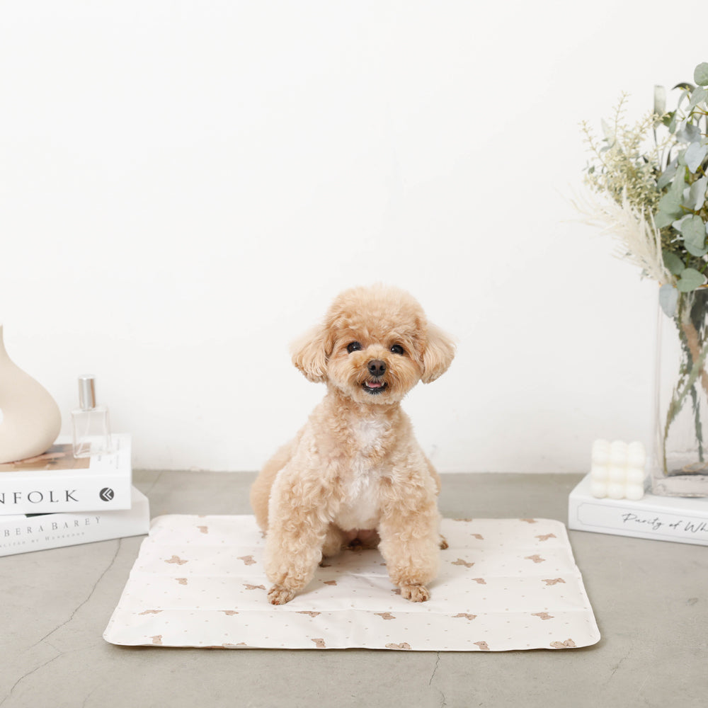 熊先生清凉凝胶垫M尺寸