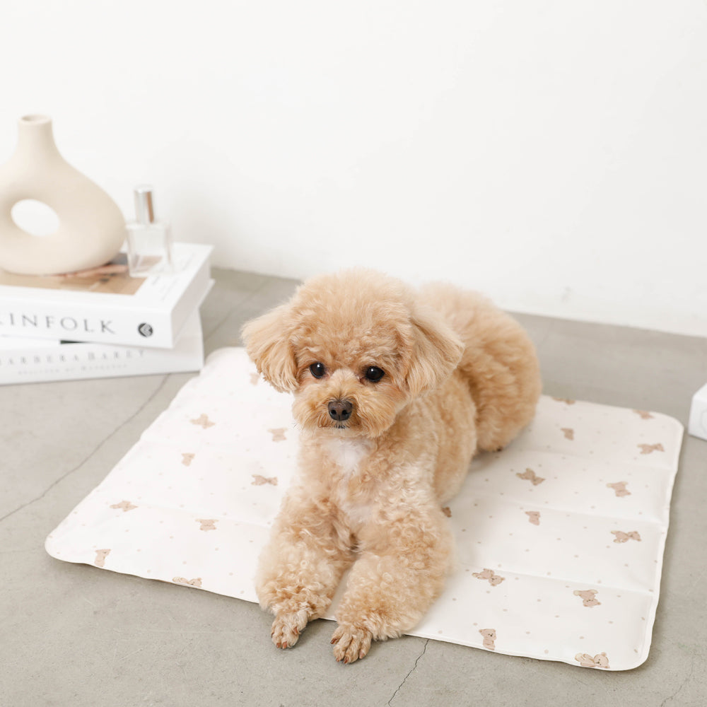 くまさんクールひんやりジェルマット Mサイズ