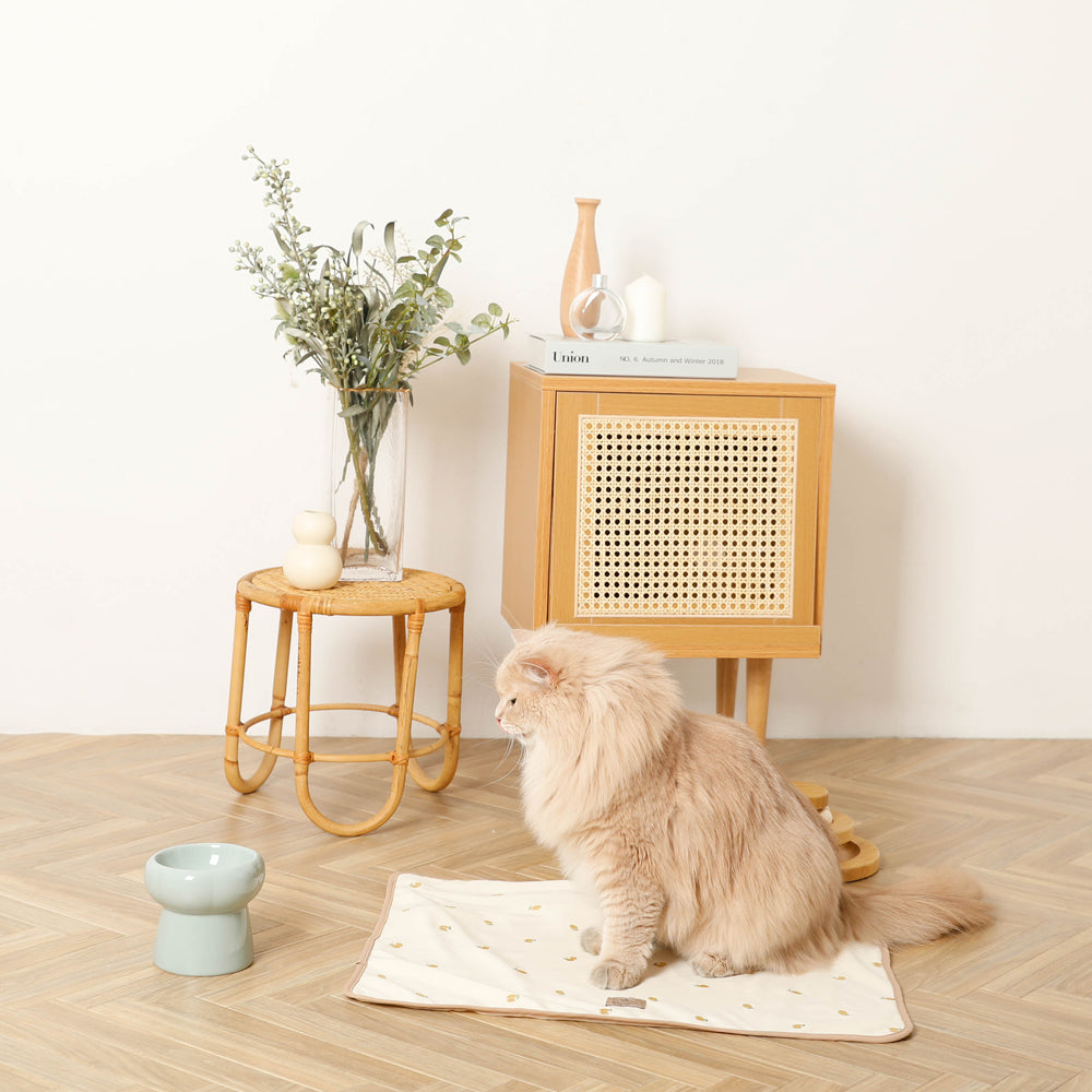 high stand food bowl