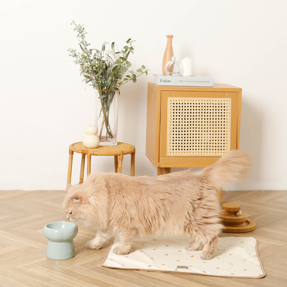 high stand food bowl