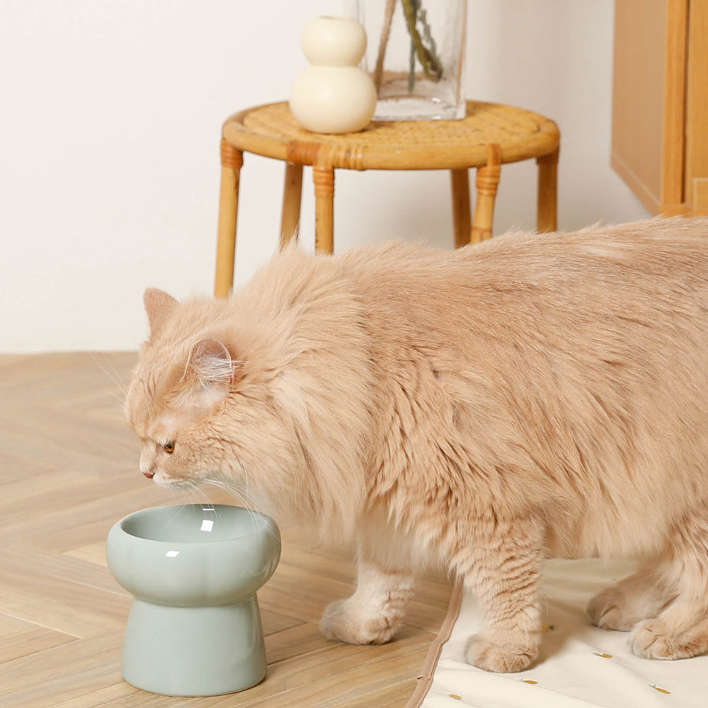 high stand food bowl