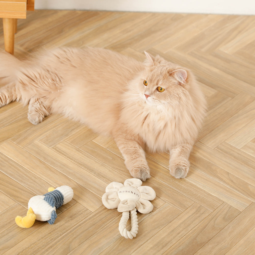 长脖子鸭子先生