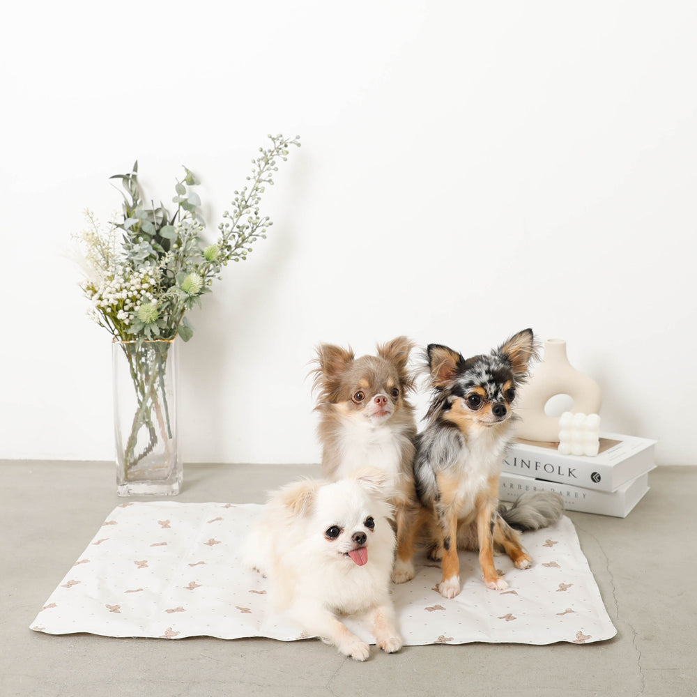 くまさんクールひんやりジェルマット Lサイズ