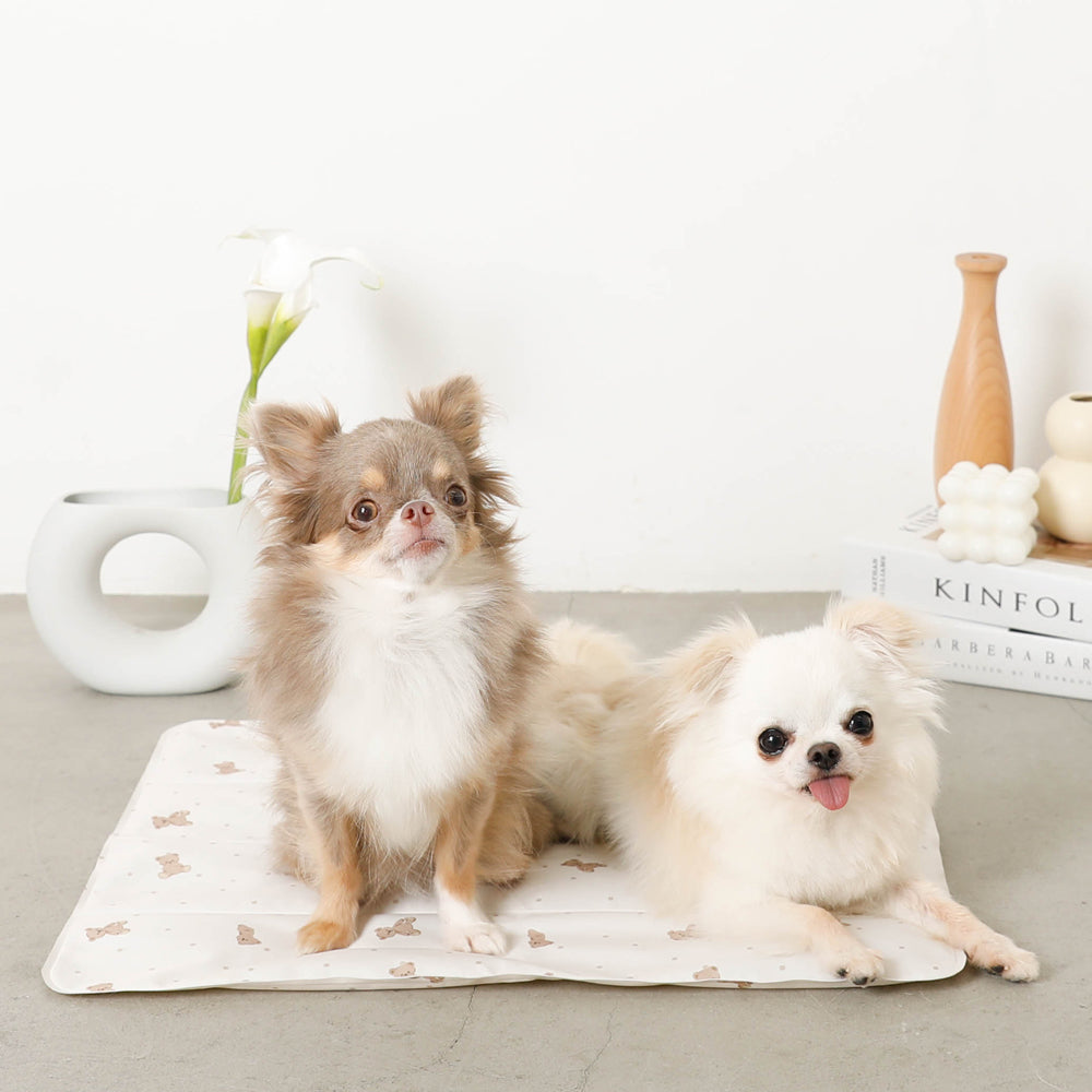 くまさんクールひんやりジェルマット Mサイズ