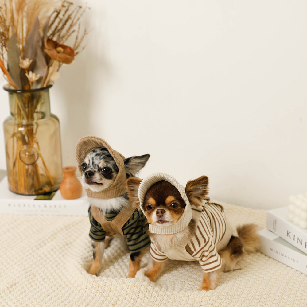 コーデュロイオーバーオール