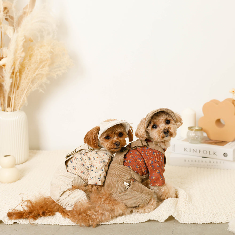 コーデュロイオーバーオール