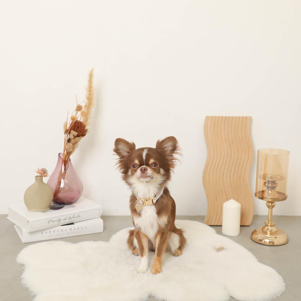 反射チェック柄バックルカラー【名入れ彫刻対応】