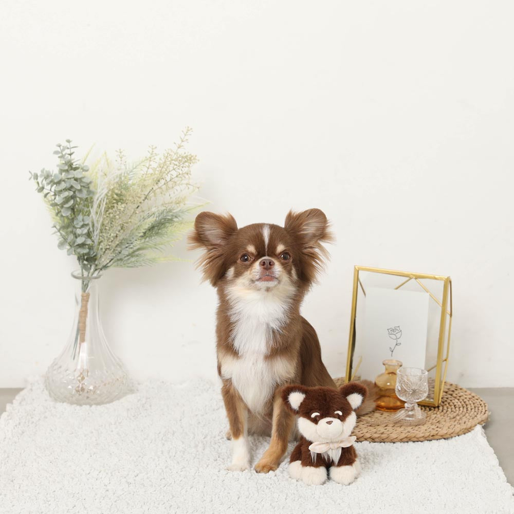 Chocotan dog stuffed toy