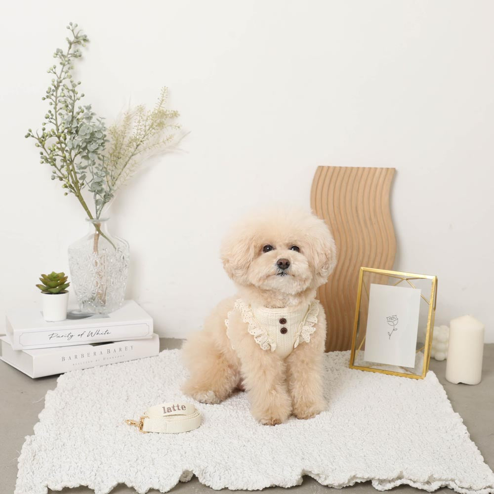 肋褶线束+导线SET【名称刺绣对应】