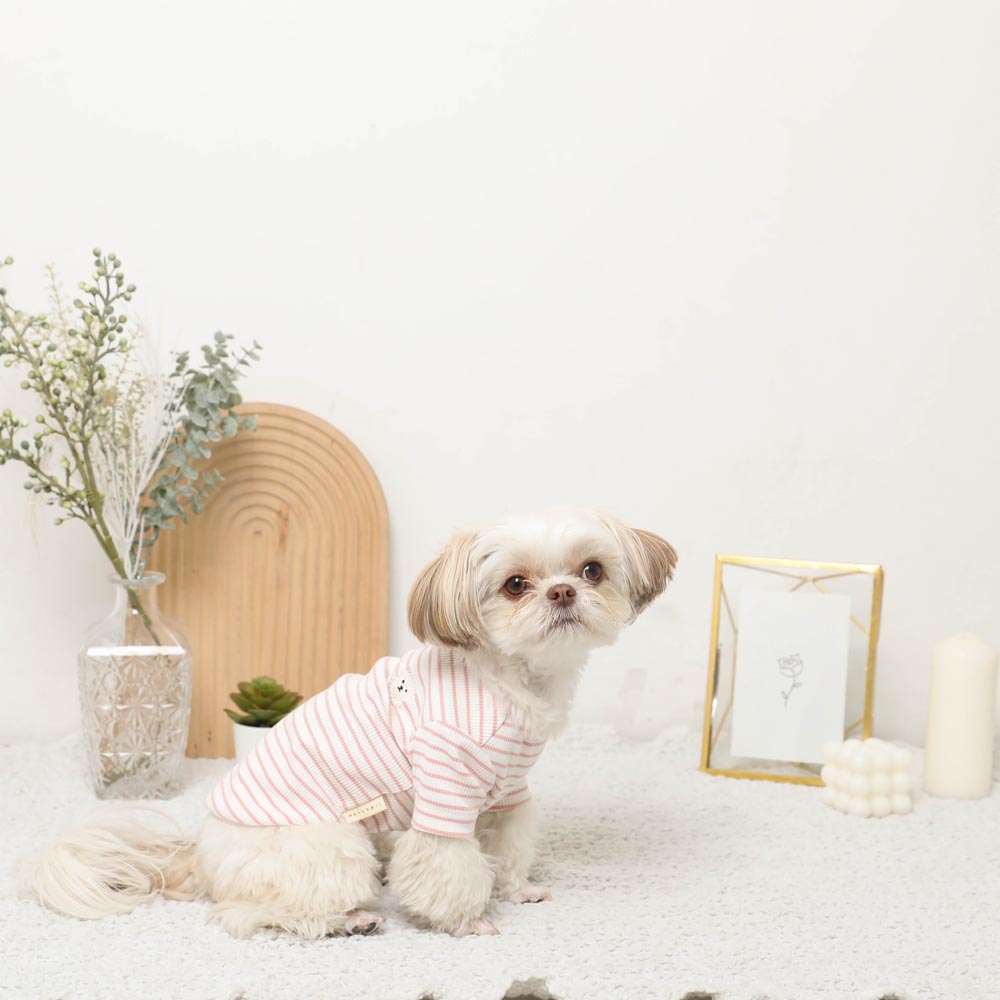 条纹刺绣T恤【保冷剂对应】