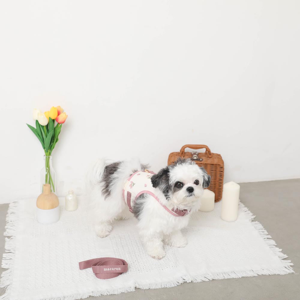 冷感草莓刺绣线束+导线设置【名入刺绣对应】【保冷剂对应】