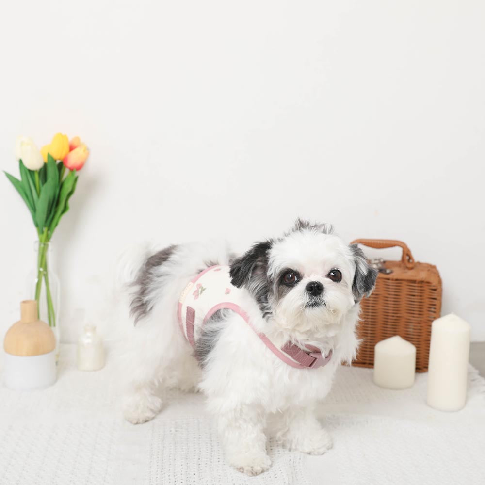 冷感草莓刺绣线束+导线设置【名入刺绣对应】【保冷剂对应】