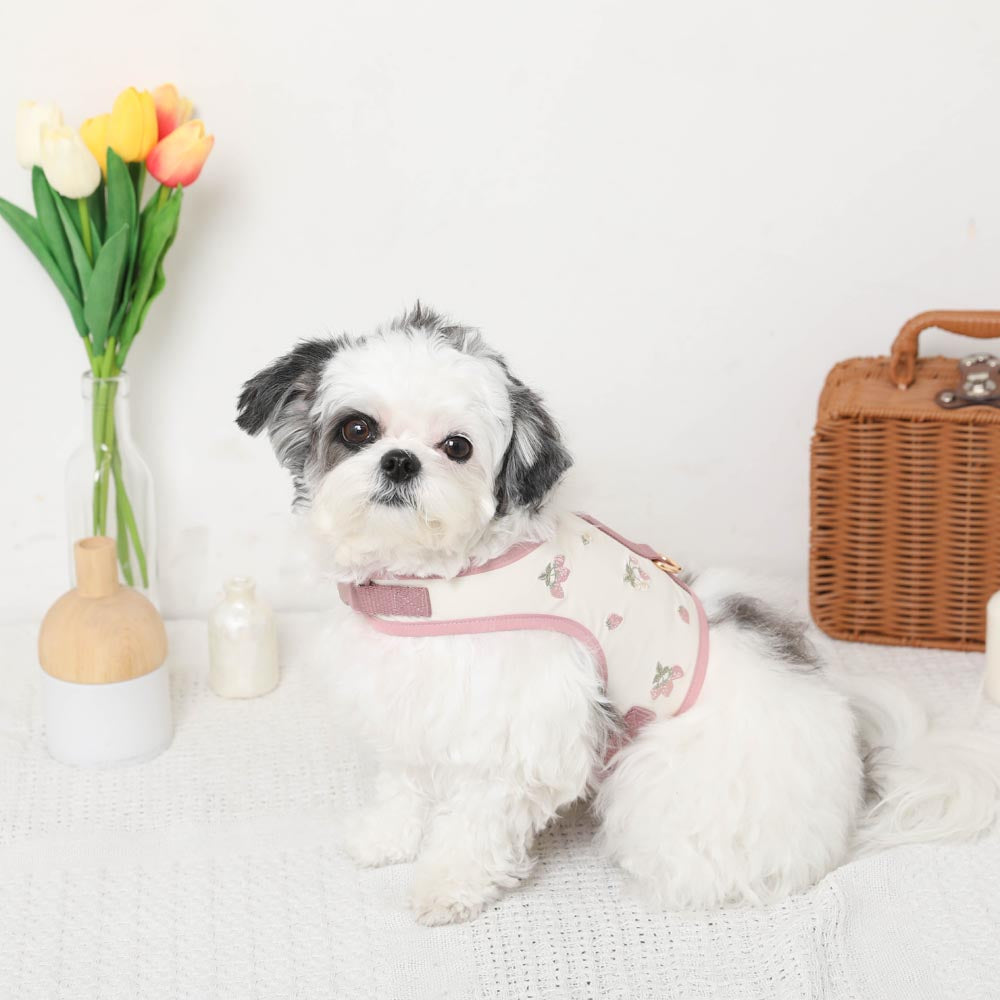 冷感草莓刺绣线束+导线设置【名入刺绣对应】【保冷剂对应】