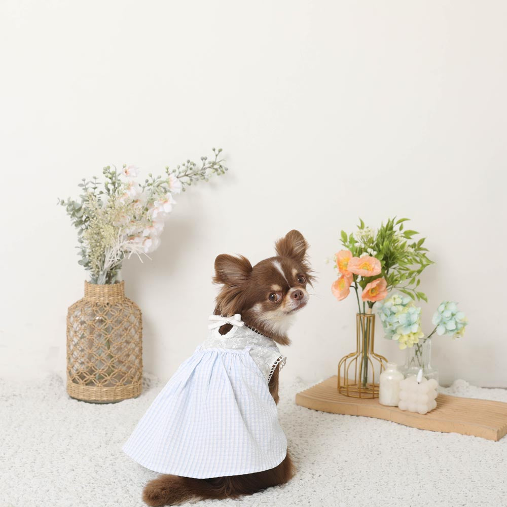 Cold feeling insect repellent lace sleeveless cami dress