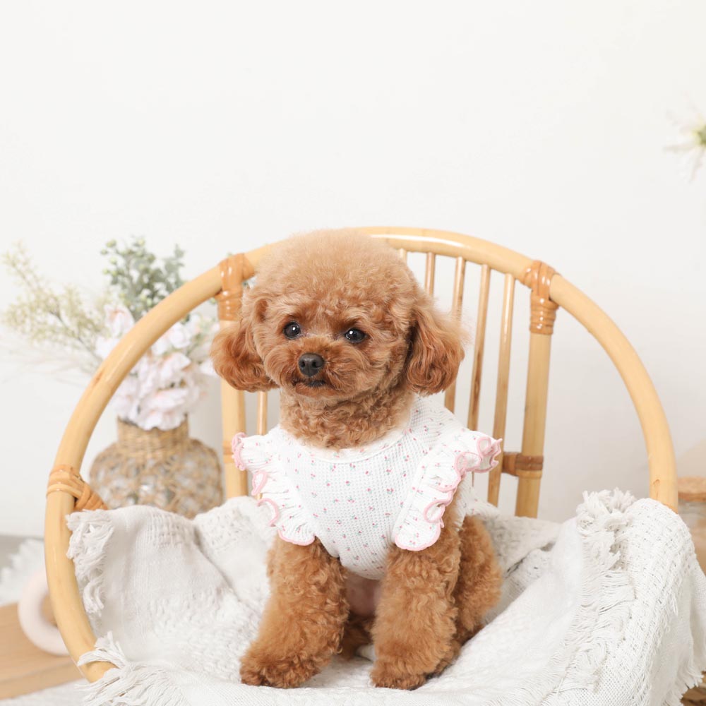 冷感小花柄ショルダーメローフリルトップス