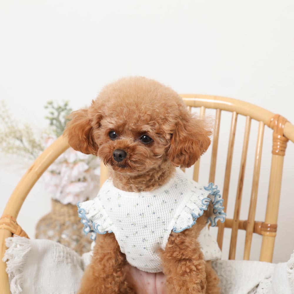 冷感小花柄ショルダーメローフリルトップス