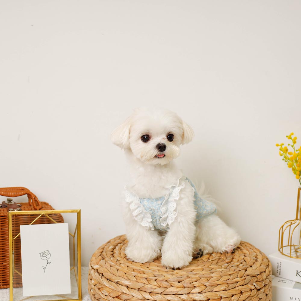 冷感ショルダーフリルレースキャミソール