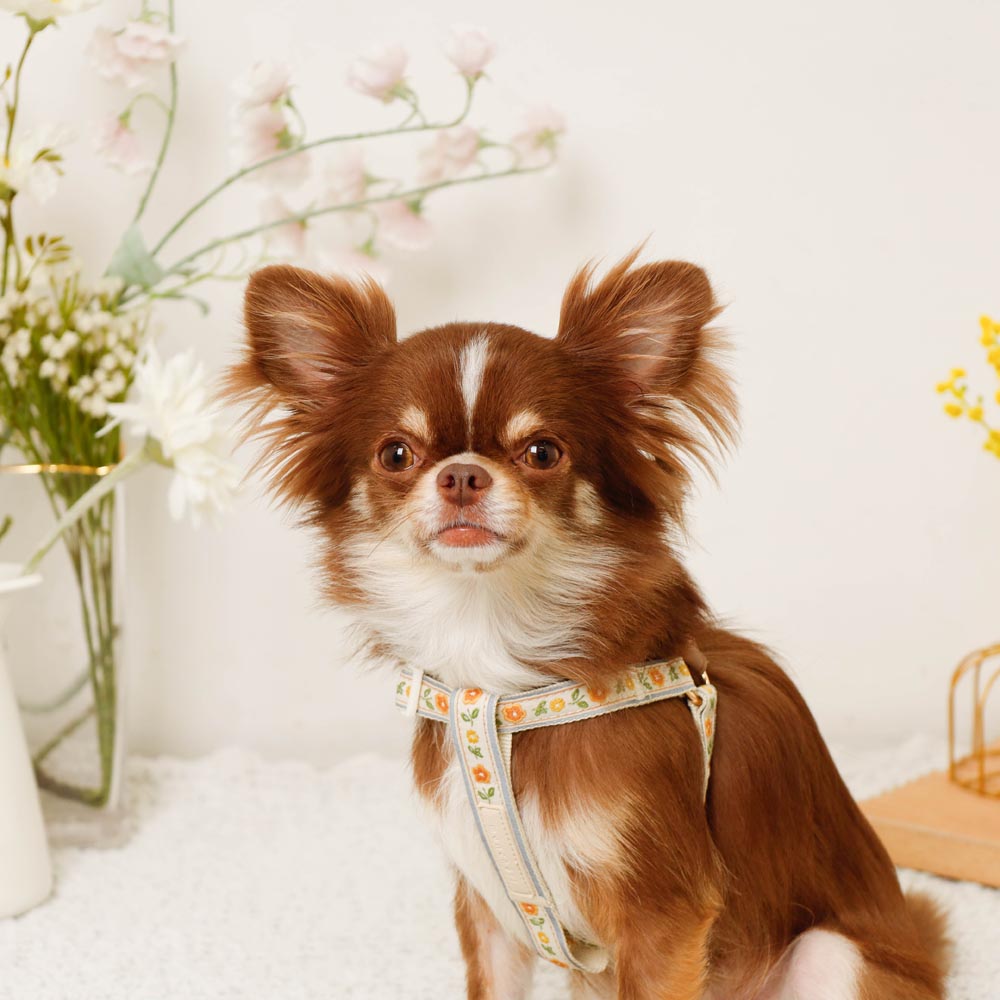 反射花卉刺绣线束+导线设置【名称刺绣对应】