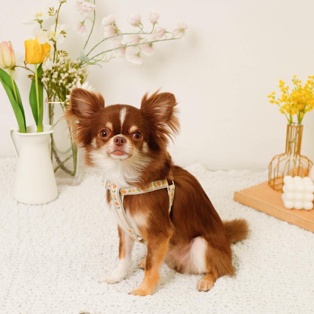 反射花卉刺绣线束+导线设置【名称刺绣对应】