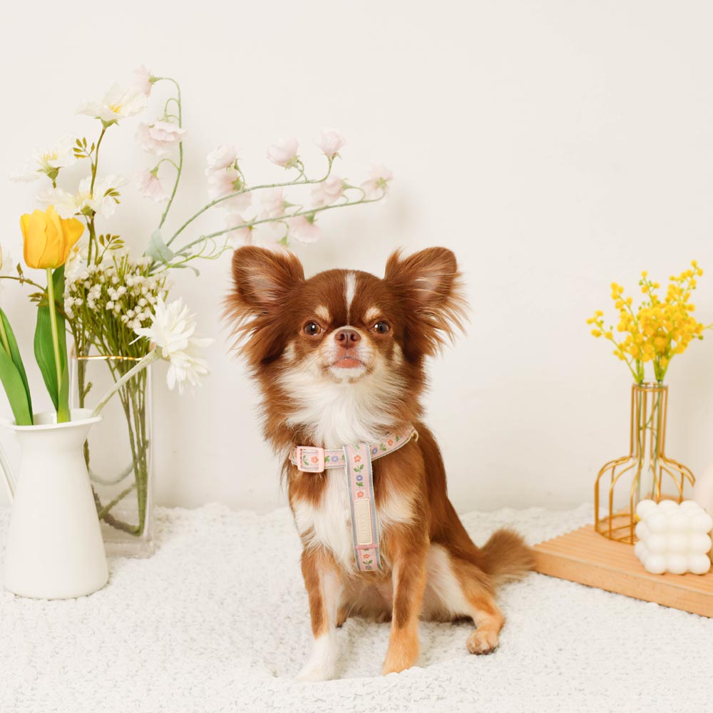 反射花卉刺绣线束+导线设置【名称刺绣对应】