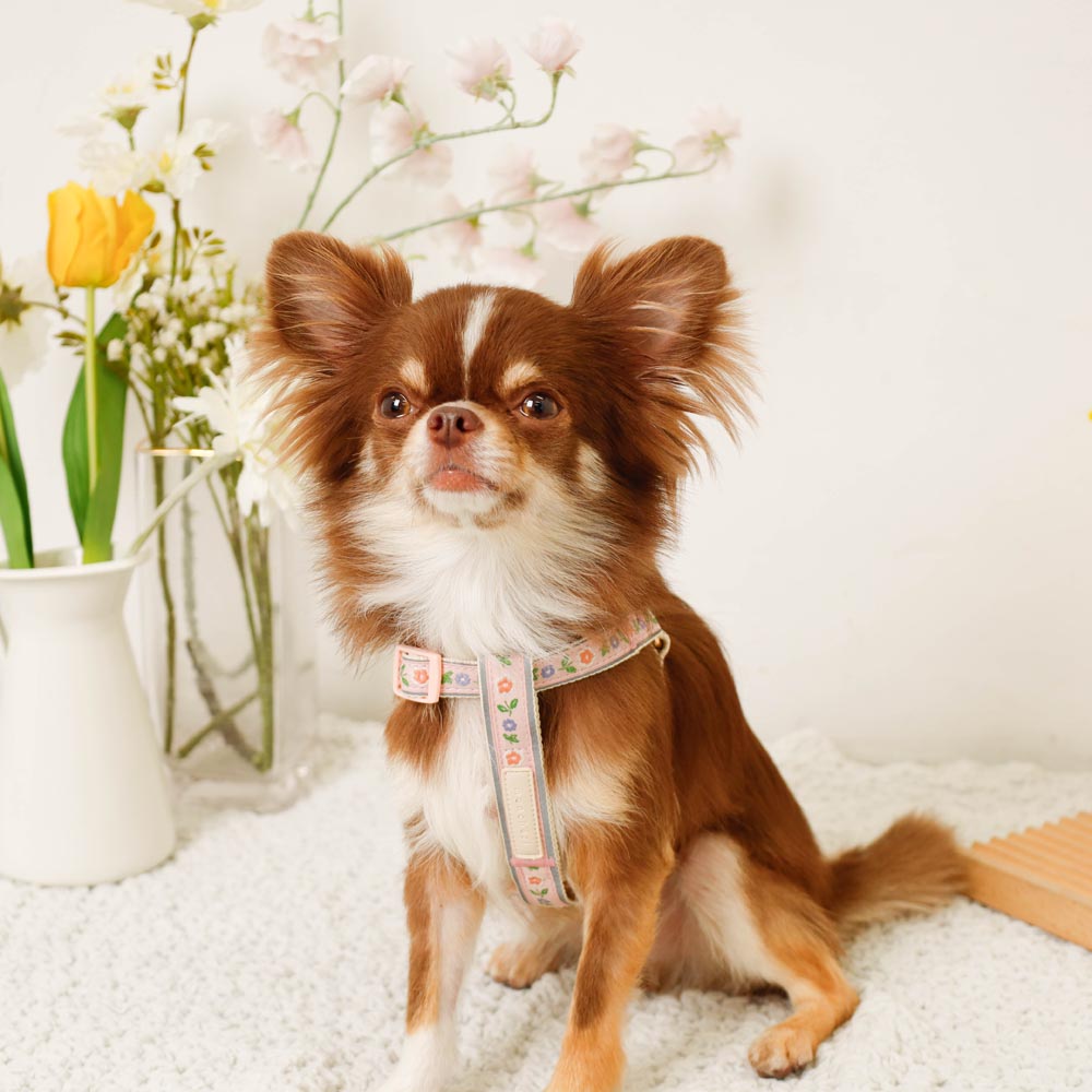 反射花卉刺绣线束+导线设置【名称刺绣对应】